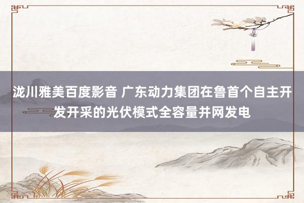 泷川雅美百度影音 广东动力集团在鲁首个自主开发开采的光伏模式全容量并网发电