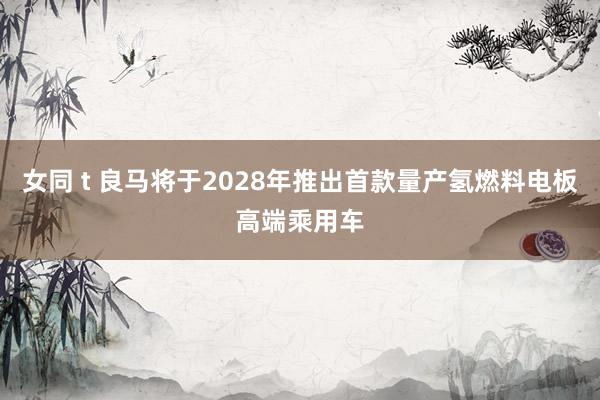 女同 t 良马将于2028年推出首款量产氢燃料电板高端乘用车