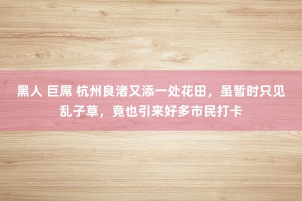 黑人 巨屌 杭州良渚又添一处花田，虽暂时只见乱子草，竟也引来好多市民打卡