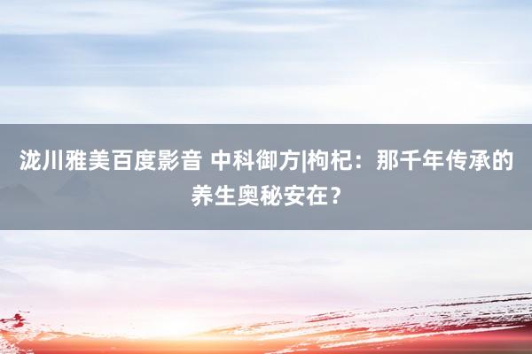 泷川雅美百度影音 中科御方|枸杞：那千年传承的养生奥秘安在？