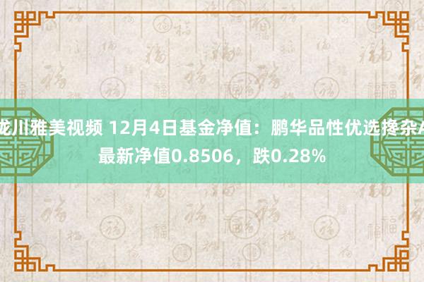 泷川雅美视频 12月4日基金净值：鹏华品性优选搀杂A最新净值0.8506，跌0.28%