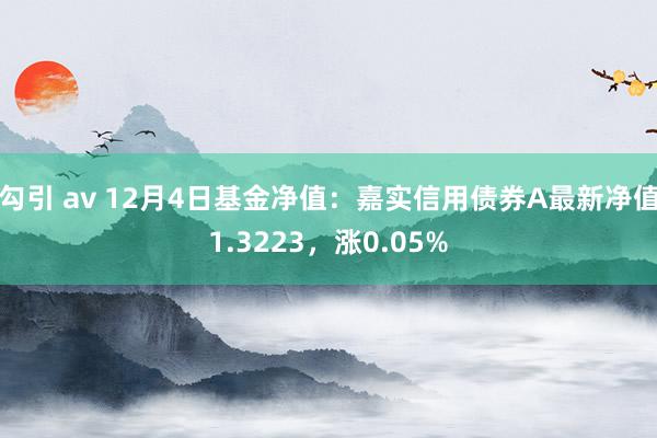 勾引 av 12月4日基金净值：嘉实信用债券A最新净值1.3223，涨0.05%