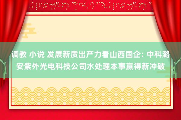 调教 小说 发展新质出产力看山西国企: 中科潞安紫外光电科技公司水处理本事赢得新冲破