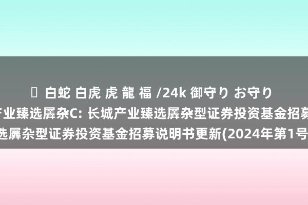 ✨白蛇 白虎 虎 龍 福 /24k 御守り お守り 长城产业臻选羼杂A,长城产业臻选羼杂C: 长城产业臻选羼杂型证券投资基金招募说明书更新(2024年第1号)