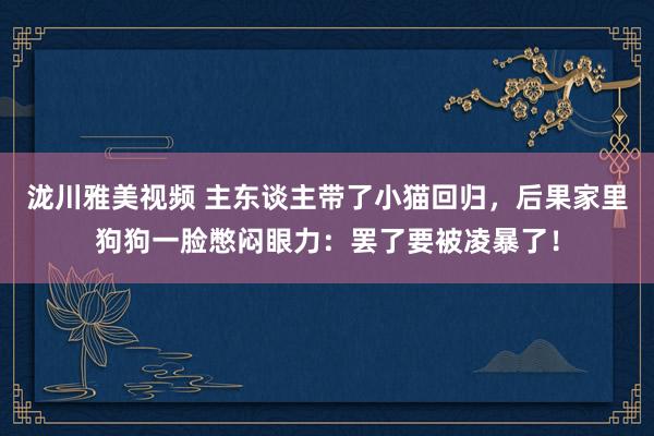 泷川雅美视频 主东谈主带了小猫回归，后果家里狗狗一脸憋闷眼力：罢了要被凌暴了！