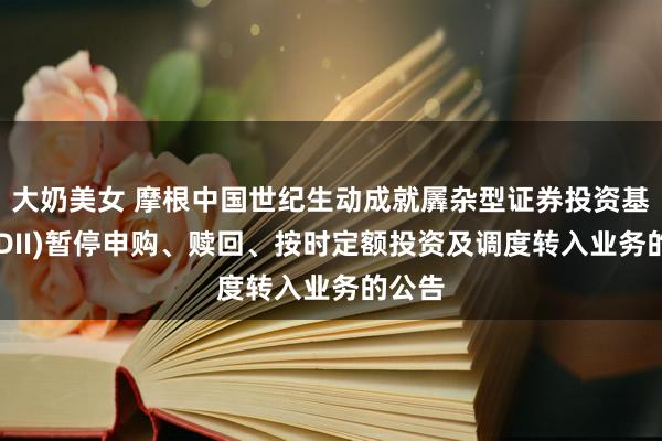 大奶美女 摩根中国世纪生动成就羼杂型证券投资基金(QDII)暂停申购、赎回、按时定额投资及调度转入业务的公告