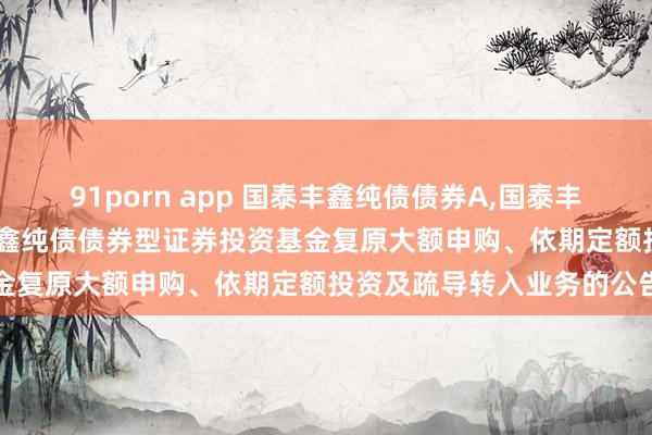 91porn app 国泰丰鑫纯债债券A,国泰丰鑫纯债债券C: 对于国泰丰鑫纯债债券型证券投资基金复原大额申购、依期定额投资及疏导转入业务的公告