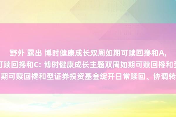野外 露出 博时健康成长双周如期可赎回搀和A,博时健康成长双周如期可赎回搀和C: 博时健康成长主题双周如期可赎回搀和型证券投资基金绽开日常赎回、协调转出业务的公告