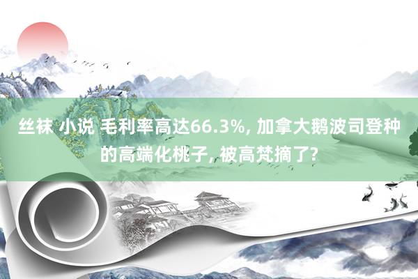 丝袜 小说 毛利率高达66.3%， 加拿大鹅波司登种的高端化桃子， 被高梵摘了?