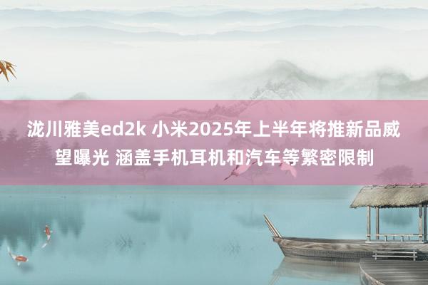 泷川雅美ed2k 小米2025年上半年将推新品威望曝光 涵盖手机耳机和汽车等繁密限制