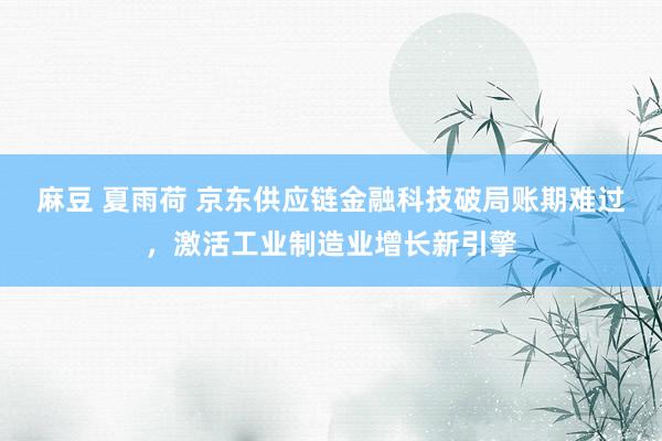 麻豆 夏雨荷 京东供应链金融科技破局账期难过,激活工业制造业增长新引擎