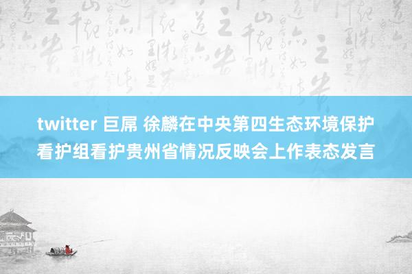 twitter 巨屌 徐麟在中央第四生态环境保护看护组看护贵州省情况反映会上作表态发言