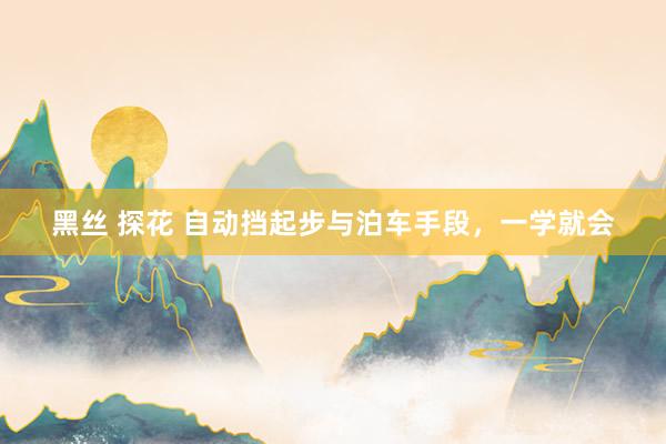 黑丝 探花 自动挡起步与泊车手段，一学就会