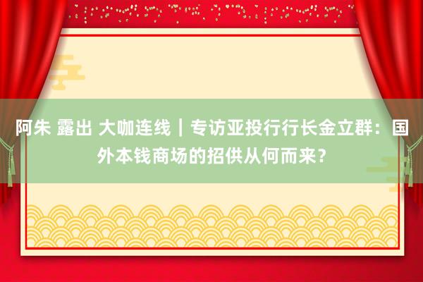 阿朱 露出 大咖连线｜专访亚投行行长金立群：国外本钱商场的招供从何而来？