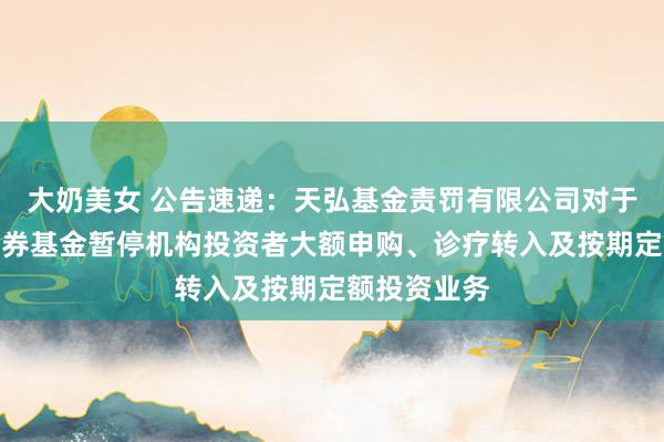 大奶美女 公告速递：天弘基金责罚有限公司对于天弘优选债券基金暂停机构投资者大额申购、诊疗转入及按期定额投资业务