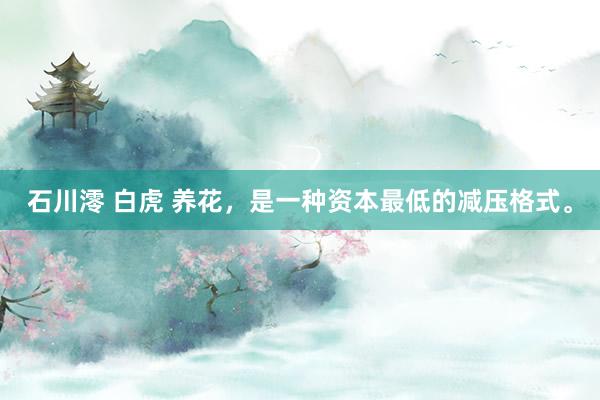 石川澪 白虎 养花，是一种资本最低的减压格式。
