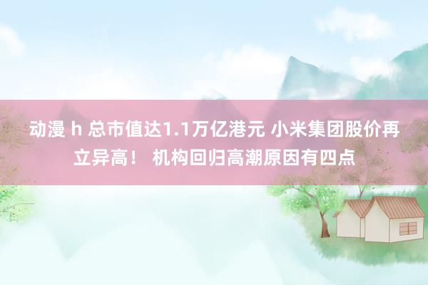 动漫 h 总市值达1.1万亿港元 小米集团股价再立异高！ 机构回归高潮原因有四点