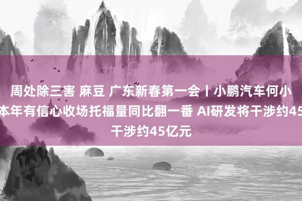 周处除三害 麻豆 广东新春第一会丨小鹏汽车何小鹏：本年有信心收场托福量同比翻一番 AI研发将干涉约45亿元