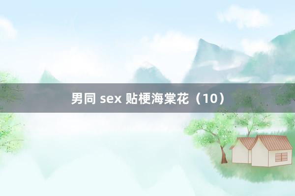 男同 sex 贴梗海棠花（10）