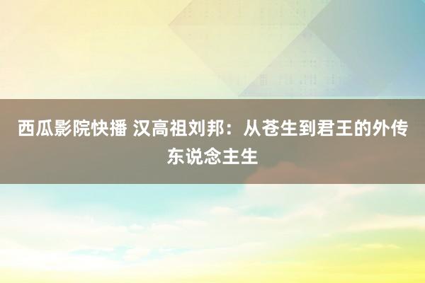 西瓜影院快播 汉高祖刘邦：从苍生到君王的外传东说念主生