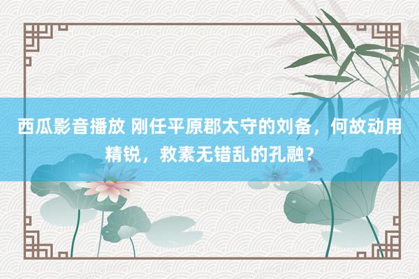 西瓜影音播放 刚任平原郡太守的刘备，何故动用精锐，救素无错乱的孔融？