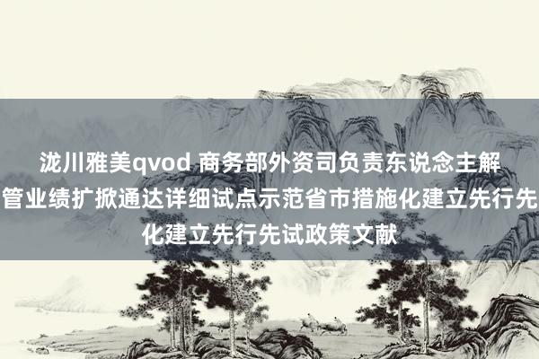 泷川雅美qvod 商务部外资司负责东说念主解读营救国度管业绩扩掀通达详细试点示范省市措施化建立先行先试政策文献