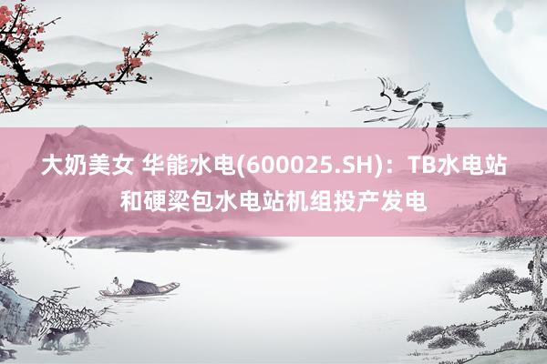 大奶美女 华能水电(600025.SH)：TB水电站和硬梁包水电站机组投产发电