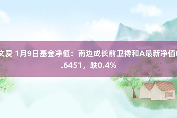 文爱 1月9日基金净值：南边成长前卫搀和A最新净值0.6451，跌0.4%