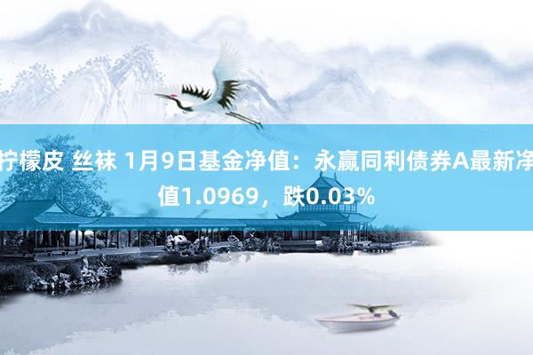柠檬皮 丝袜 1月9日基金净值：永赢同利债券A最新净值1.0969，跌0.03%