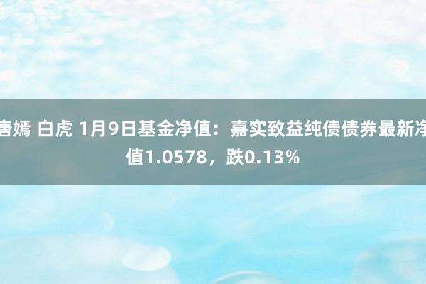 唐嫣 白虎 1月9日基金净值：嘉实致益纯债债券最新净值1.0578，跌0.13%