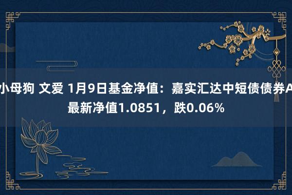小母狗 文爱 1月9日基金净值：嘉实汇达中短债债券A最新净值1.0851，跌0.06%