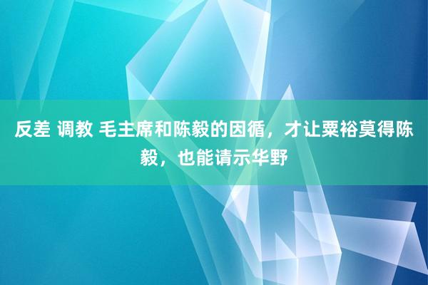 反差 调教 毛主席和陈毅的因循，才让粟裕莫得陈毅，也能请示华野