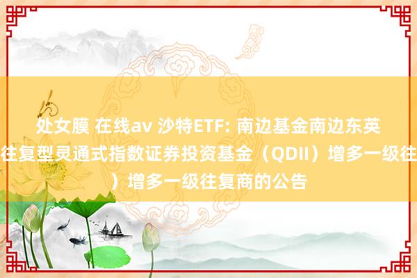 处女膜 在线av 沙特ETF: 南边基金南边东英沙特阿拉伯往复型灵通式指数证券投资基金(QDII)增多一级往复商的公告