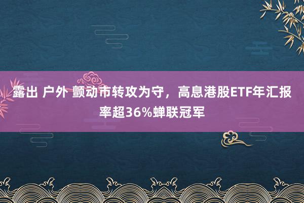 露出 户外 颤动市转攻为守，高息港股ETF年汇报率超36%蝉联冠军