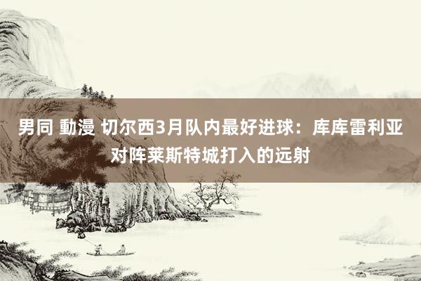 男同 動漫 切尔西3月队内最好进球：库库雷利亚对阵莱斯特城打入的远射