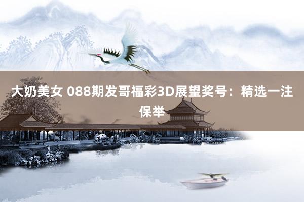 大奶美女 088期发哥福彩3D展望奖号：精选一注保举
