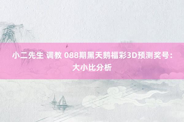 小二先生 调教 088期黑天鹅福彩3D预测奖号：大小比分析