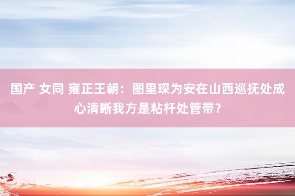 国产 女同 雍正王朝：图里琛为安在山西巡抚处成心清晰我方是粘杆处管带？