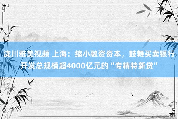 泷川雅美视频 上海：缩小融资资本，鼓舞买卖银行开发总规模超4000亿元的“专精特新贷”