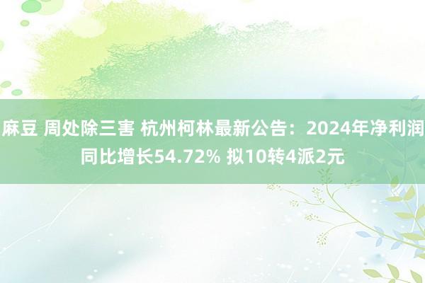 麻豆 周处除三害 杭州柯林最新公告：2024年净利润同比增长54.72% 拟10转4派2元