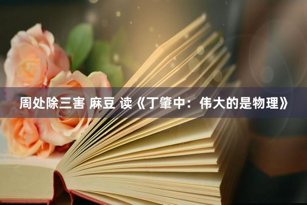 周处除三害 麻豆 读《丁肇中：伟大的是物理》