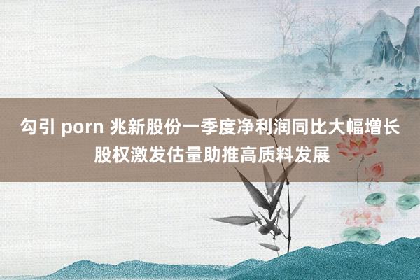 勾引 porn 兆新股份一季度净利润同比大幅增长 股权激发估量助推高质料发展