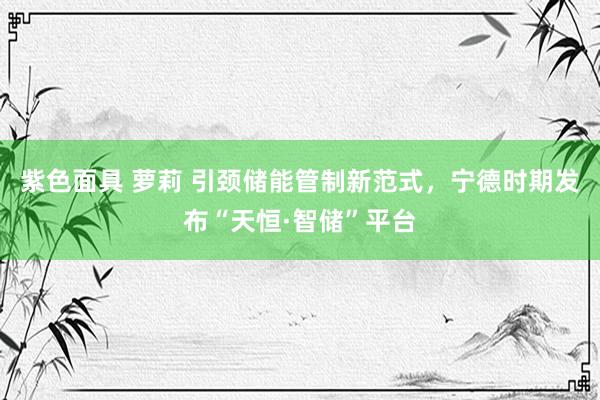紫色面具 萝莉 引颈储能管制新范式，宁德时期发布“天恒·智储”平台