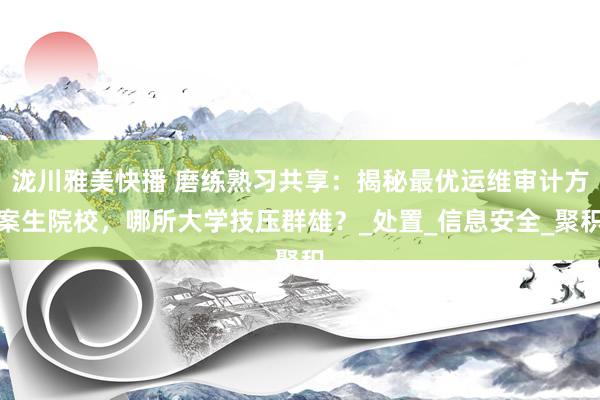 泷川雅美快播 磨练熟习共享：揭秘最优运维审计方案生院校，哪所大学技压群雄？_处置_信息安全_聚积