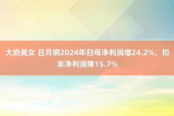 大奶美女 日月明2024年归母净利润增24.2%，扣非净利润降15.7%
