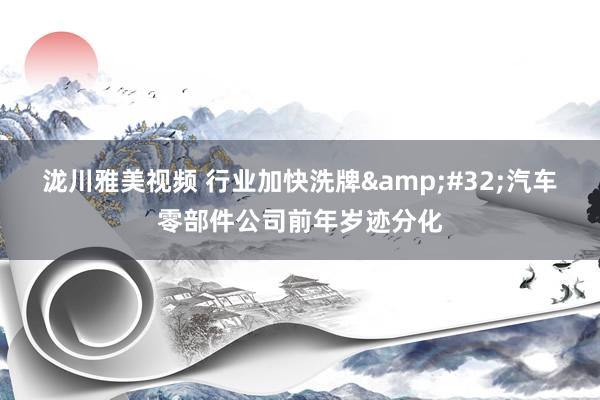 泷川雅美视频 行业加快洗牌&#32;汽车零部件公司前年岁迹分化