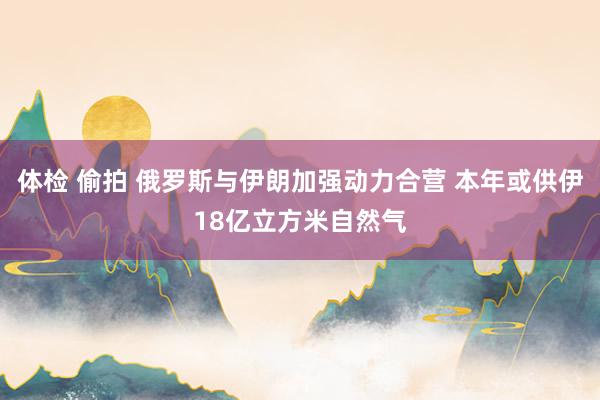 体检 偷拍 俄罗斯与伊朗加强动力合营 本年或供伊18亿立方米自然气