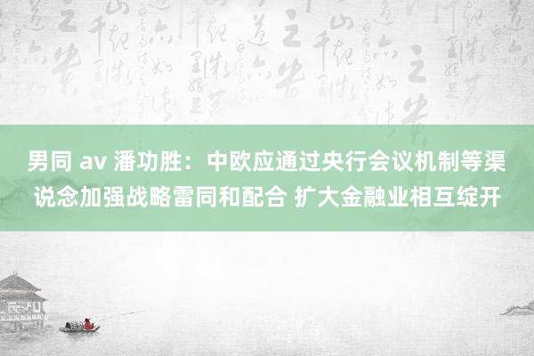 男同 av 潘功胜：中欧应通过央行会议机制等渠说念加强战略雷同和配合 扩大金融业相互绽开