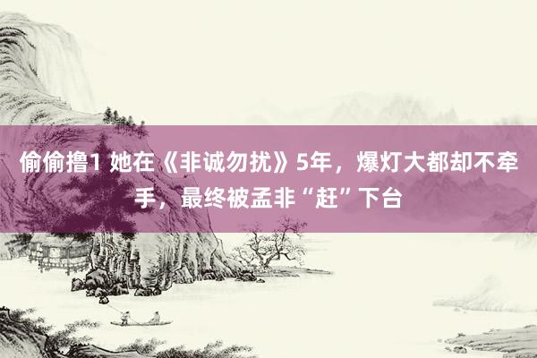 偷偷撸1 她在《非诚勿扰》5年，爆灯大都却不牵手，最终被孟非“赶”下台
