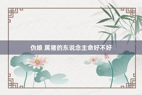 伪娘 属猪的东说念主命好不好